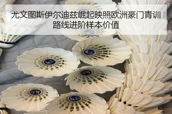 尤文图斯伊尔迪兹崛起映照欧洲豪门青训路线进阶样本价值
